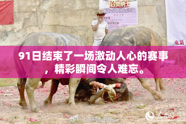 91日结束了一场激动人心的赛事，精彩瞬间令人难忘。