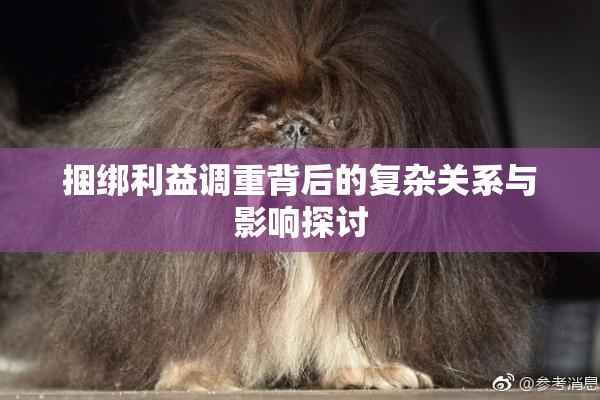 捆绑利益调重背后的复杂关系与影响探讨