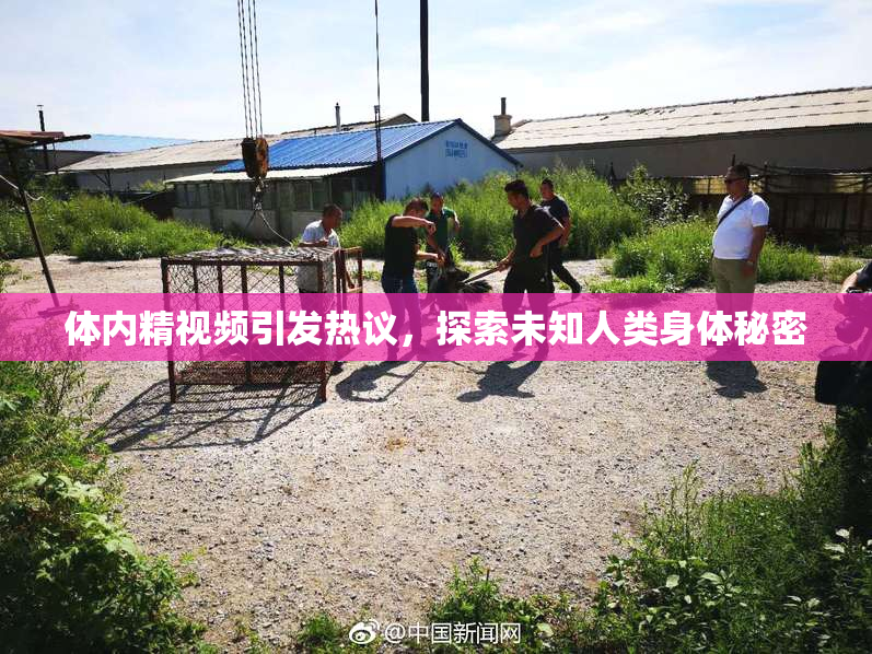 体内精视频引发热议，探索未知人类身体秘密