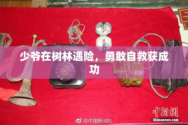 少爷在树林遇险，勇敢自救获成功