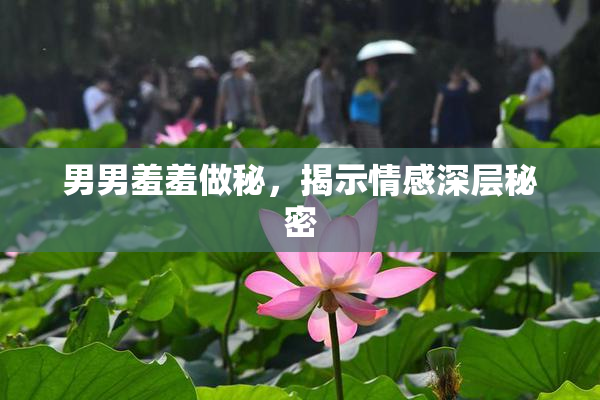 男男羞羞做秘，揭示情感深层秘密