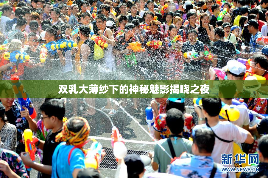 双乳大薄纱下的神秘魅影揭晓之夜
