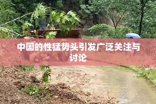 中国的性猛势头引发广泛关注与讨论