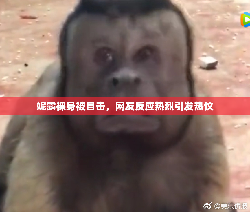 妮露裸身被目击，网友反应热烈引发热议