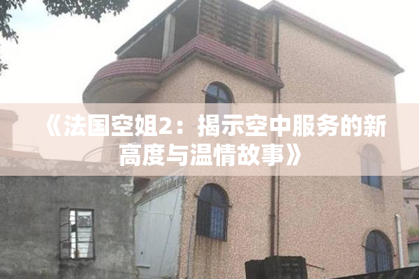 《法国空姐2：揭示空中服务的新高度与温情故事》