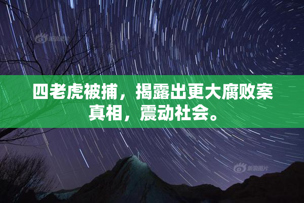 四老虎被捕，揭露出更大腐败案真相，震动社会。