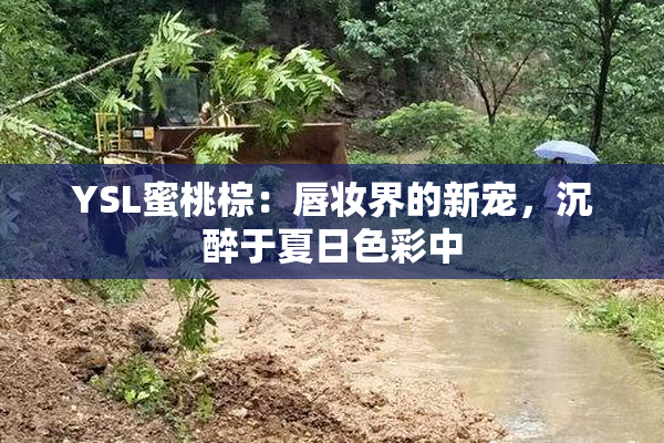 YSL蜜桃棕：唇妆界的新宠，沉醉于夏日色彩中