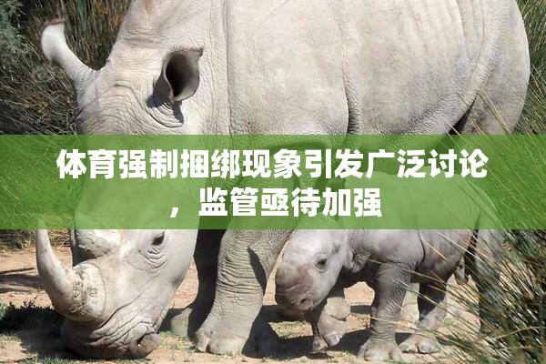 体育强制捆绑现象引发广泛讨论，监管亟待加强