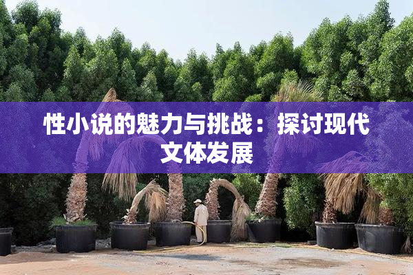 性小说的魅力与挑战：探讨现代文体发展