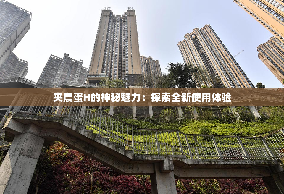 夹震蛋H的神秘魅力：探索全新使用体验