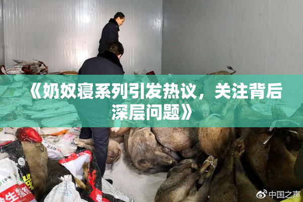 《奶奴寝系列引发热议，关注背后深层问题》