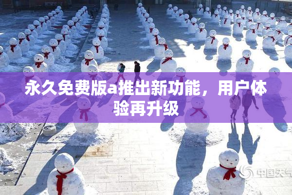 永久免费版a推出新功能，用户体验再升级