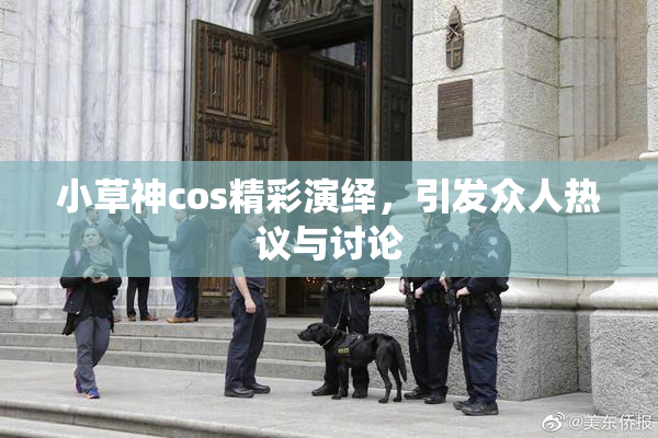 小草神cos精彩演绎，引发众人热议与讨论