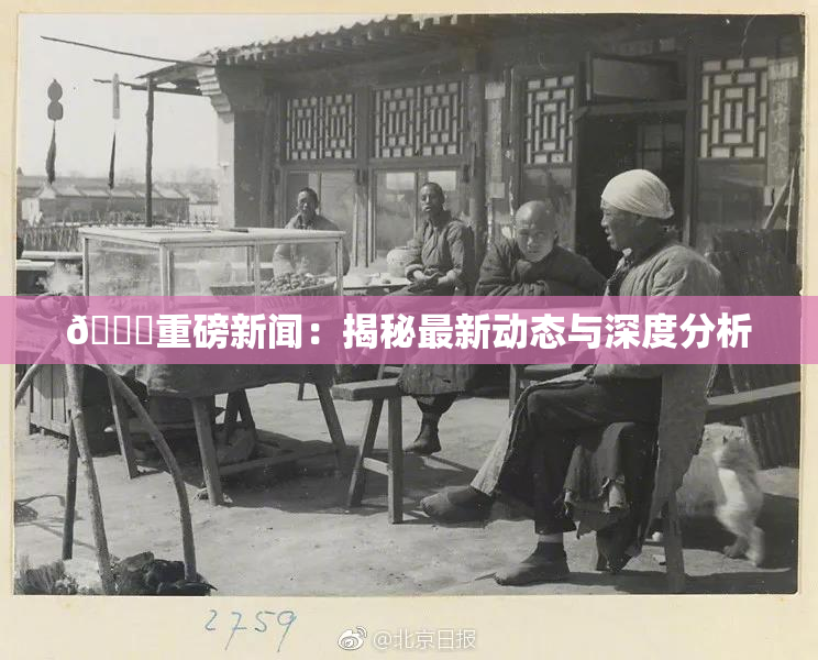 🈚重磅新闻：揭秘最新动态与深度分析