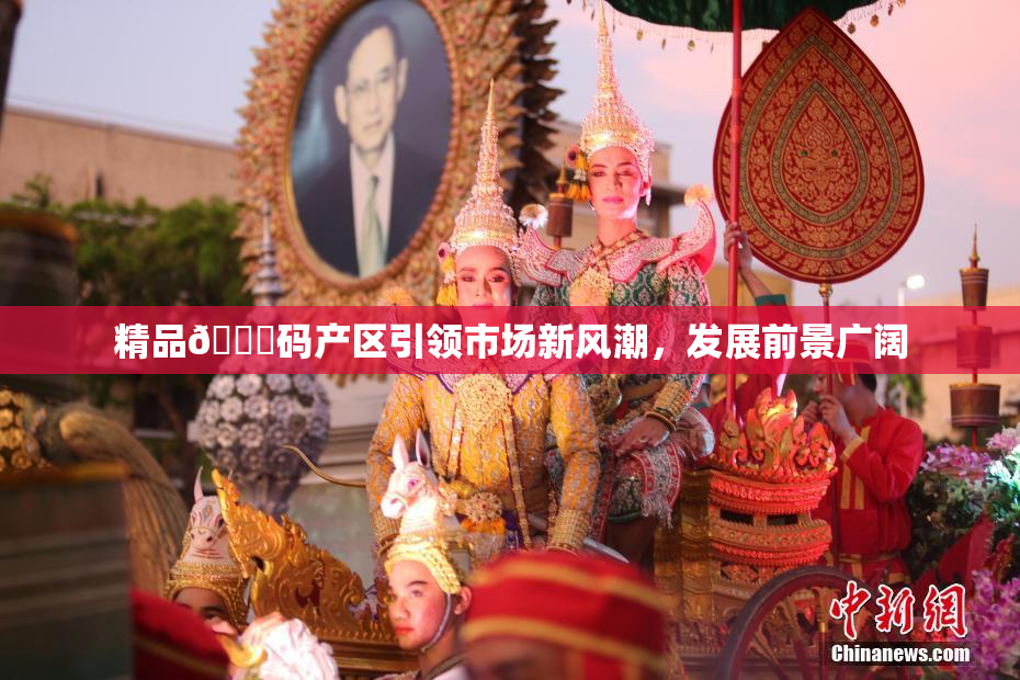 精品🈚码产区引领市场新风潮，发展前景广阔