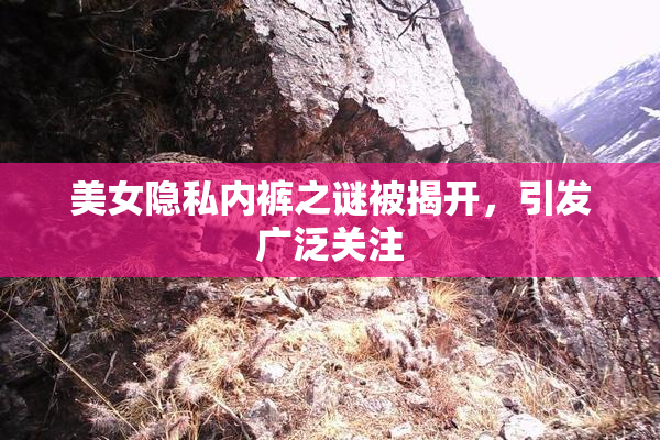 美女隐私内裤之谜被揭开，引发广泛关注