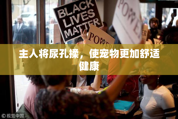主人将尿孔揉，使宠物更加舒适健康