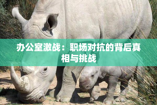 办公室激战：职场对抗的背后真相与挑战