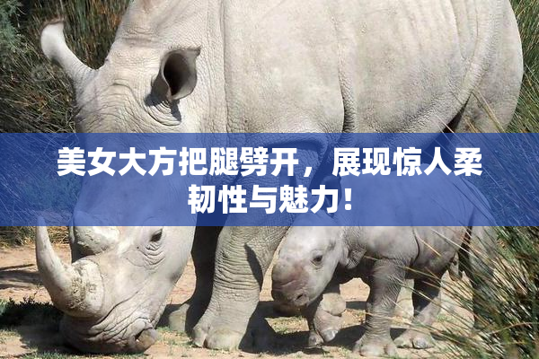 美女大方把腿劈开，展现惊人柔韧性与魅力！