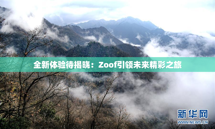 全新体验待揭晓：Zoof引领未来精彩之旅