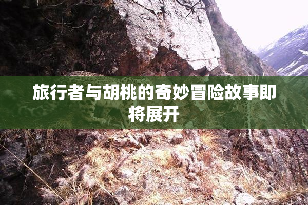 旅行者与胡桃的奇妙冒险故事即将展开