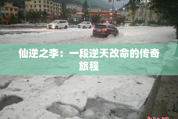仙逆之李：一段逆天改命的传奇旅程