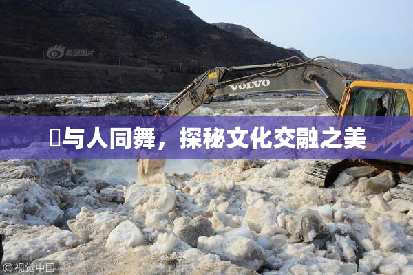 嘼与人同舞，探秘文化交融之美