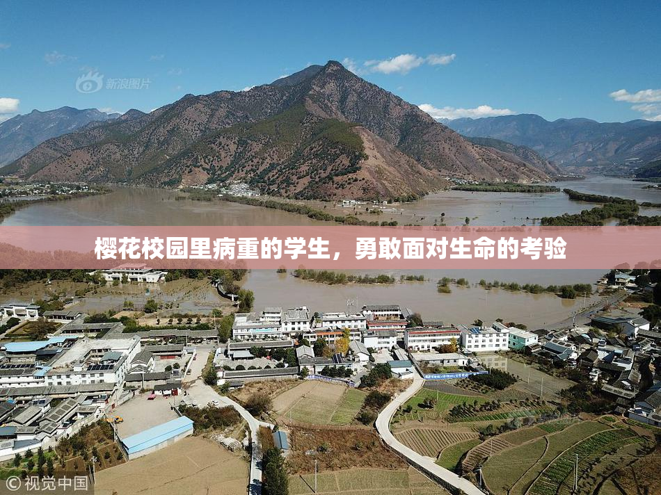 樱花校园里病重的学生，勇敢面对生命的考验