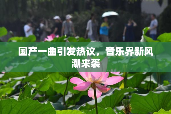 国产一曲引发热议，音乐界新风潮来袭