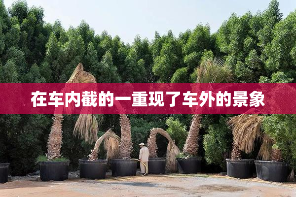 在车内截的一重现了车外的景象