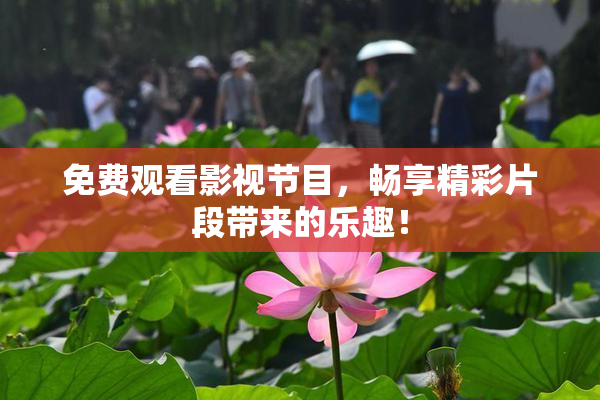免费观看影视节目，畅享精彩片段带来的乐趣！