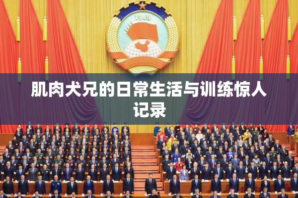 肌肉犬兄的日常生活与训练惊人记录