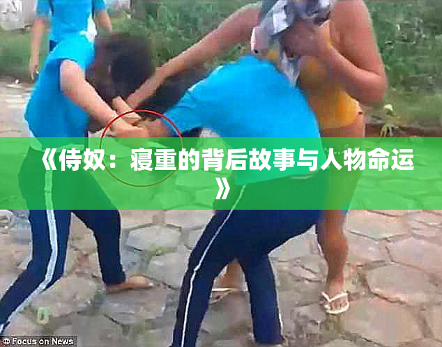 《侍奴：寝重的背后故事与人物命运》