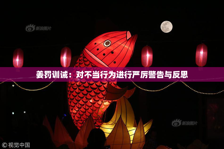 姜罚训诫：对不当行为进行严厉警告与反思