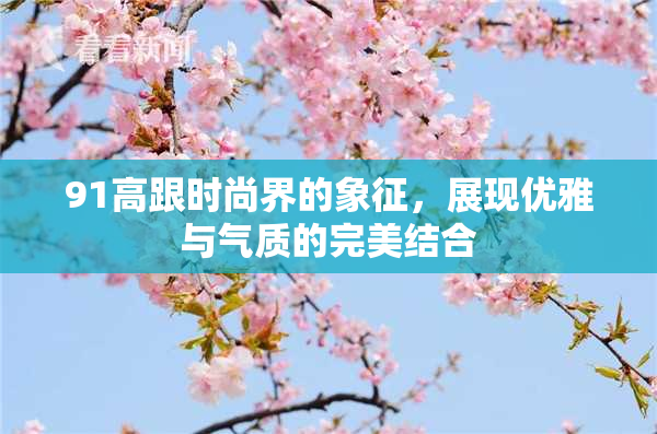91高跟时尚界的象征，展现优雅与气质的完美结合