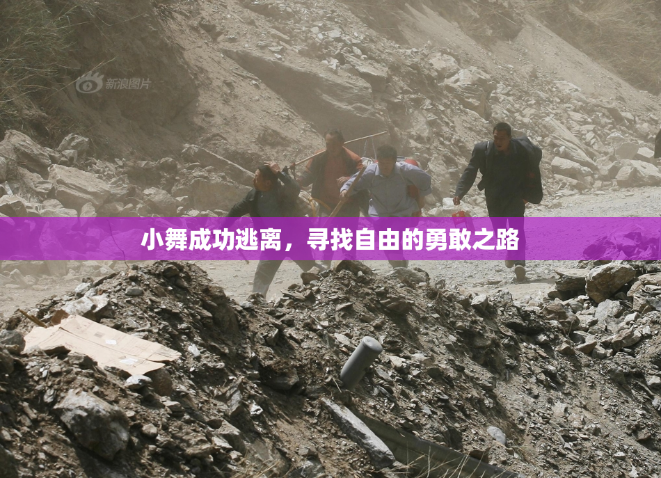 小舞成功逃离，寻找自由的勇敢之路