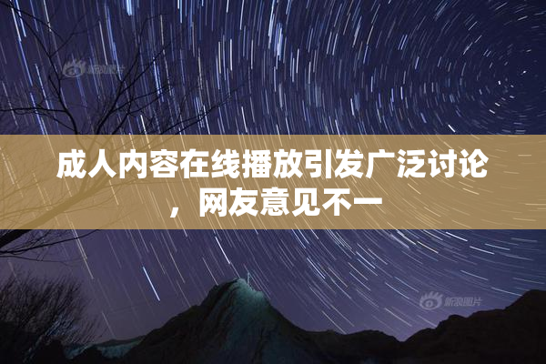 成人内容在线播放引发广泛讨论，网友意见不一