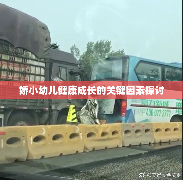 娇小幼儿健康成长的关键因素探讨
