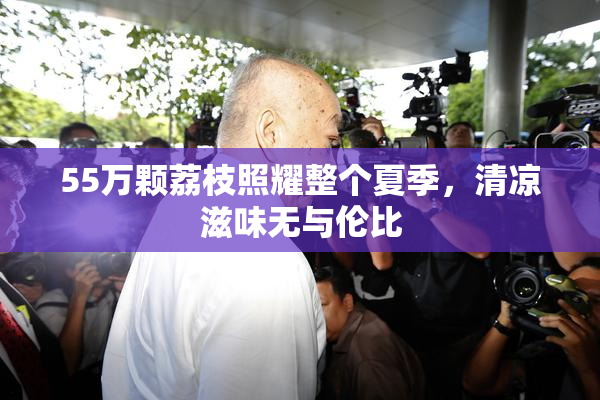 55万颗荔枝照耀整个夏季，清凉滋味无与伦比