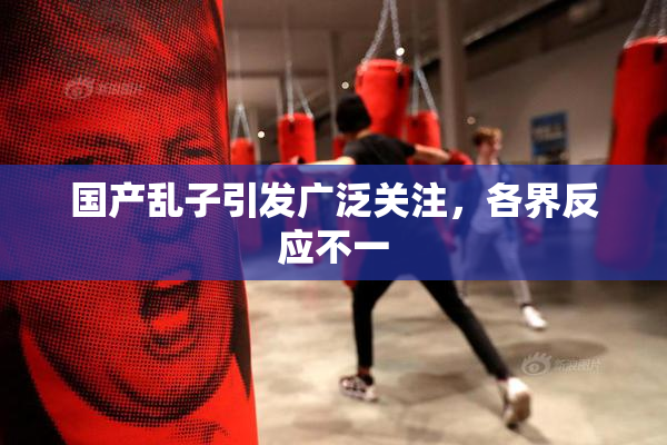 国产乱子引发广泛关注，各界反应不一