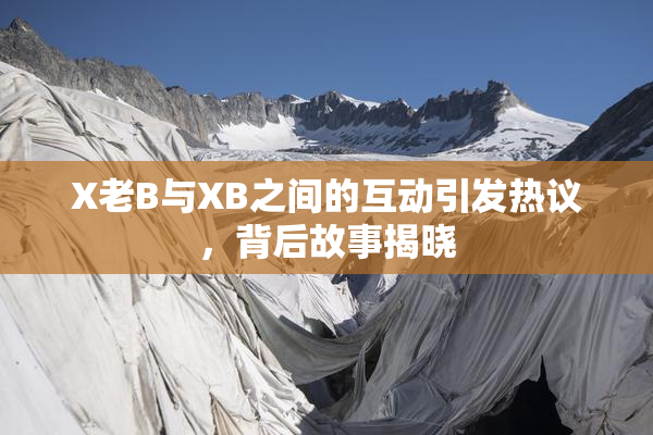 X老B与XB之间的互动引发热议，背后故事揭晓