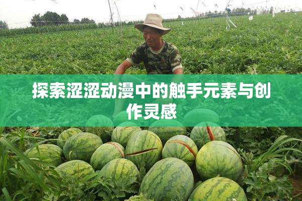 探索涩涩动漫中的触手元素与创作灵感