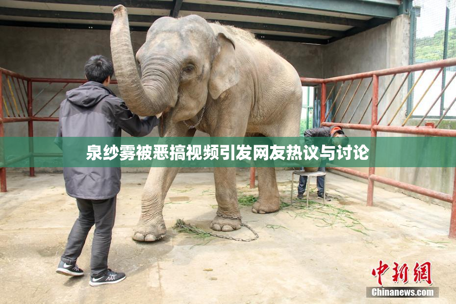 泉纱雾被恶搞视频引发网友热议与讨论