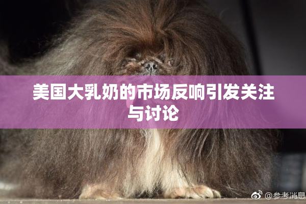 美国大乳奶的市场反响引发关注与讨论