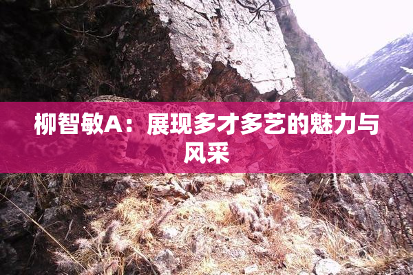 柳智敏A：展现多才多艺的魅力与风采