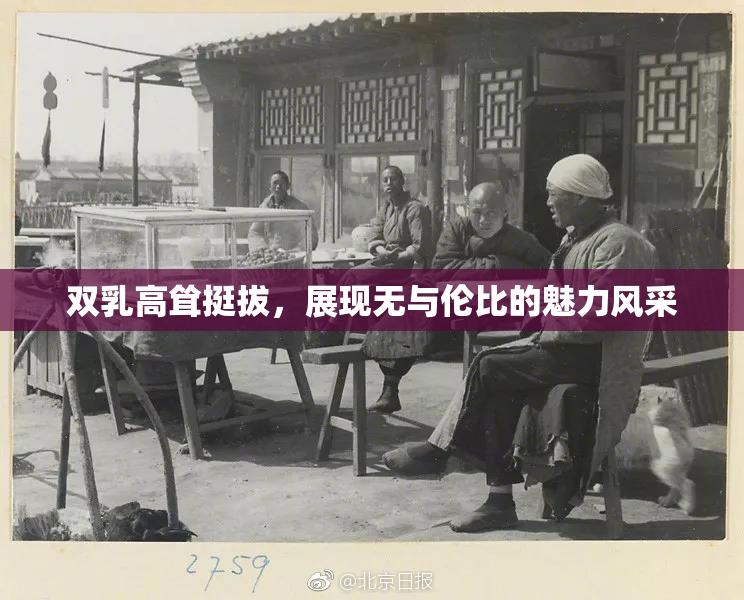 双乳高耸挺拔，展现无与伦比的魅力风采