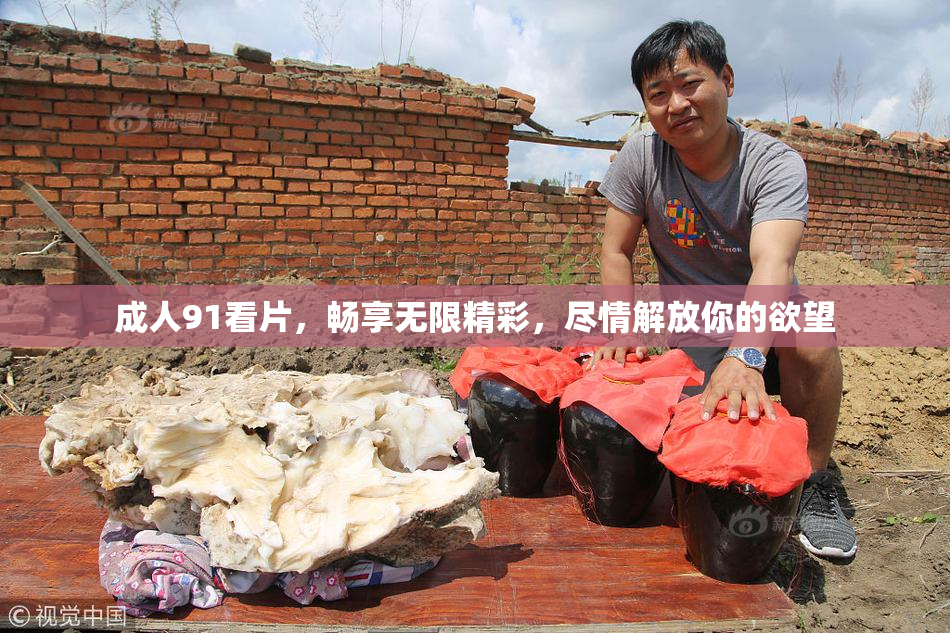 成人91看片，畅享无限精彩，尽情解放你的欲望