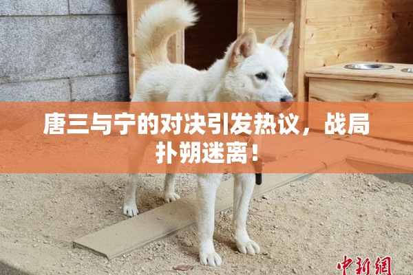 唐三与宁的对决引发热议，战局扑朔迷离！