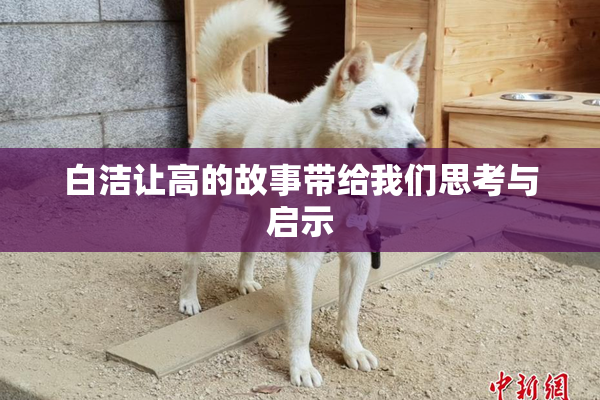 白洁让高的故事带给我们思考与启示