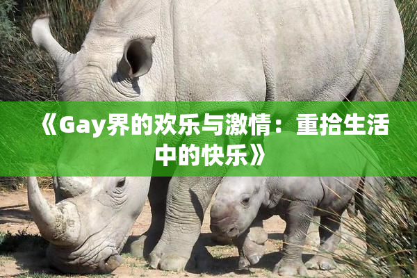 《Gay界的欢乐与激情：重拾生活中的快乐》